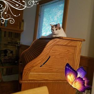 Meet your Posher, Debbie